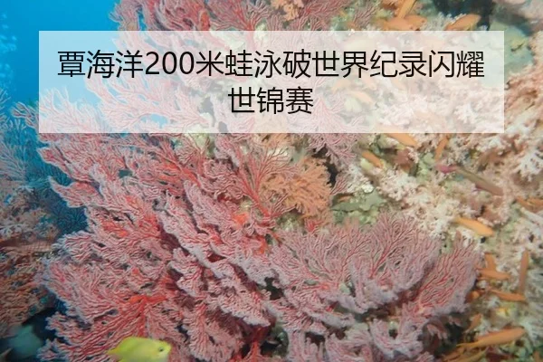 覃海洋200米蛙泳破世界纪录闪耀世锦赛